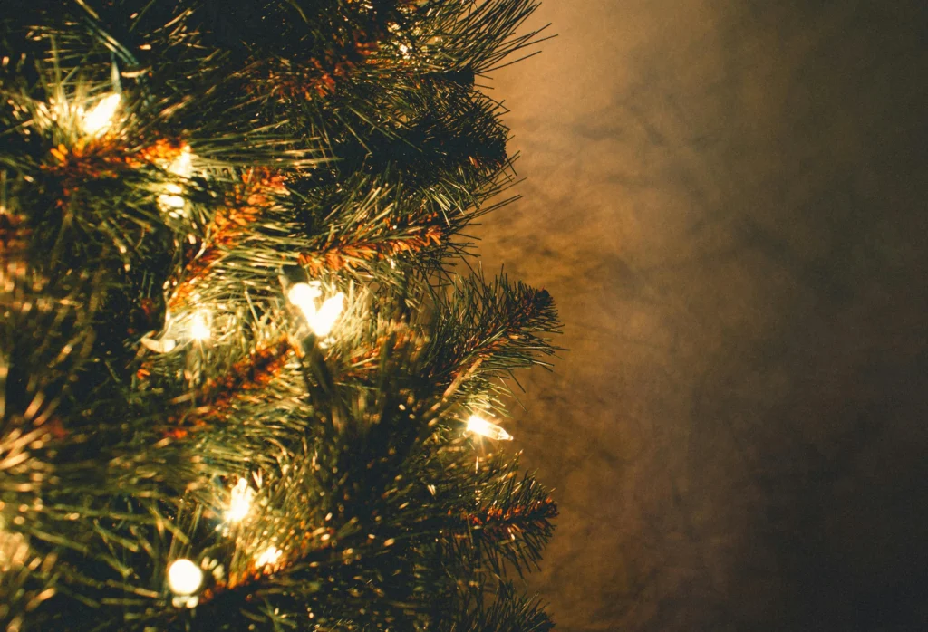 christmas tree facts
